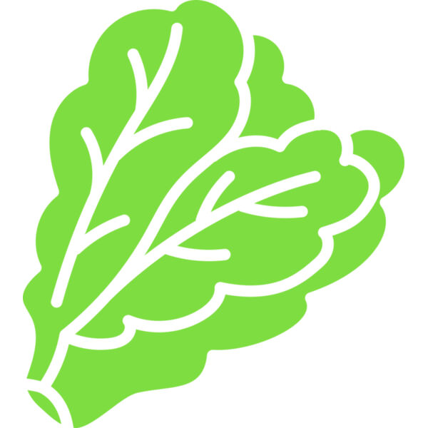 Lettuce Thumbnail
