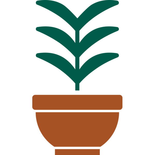 Plant 2 Thumbnail