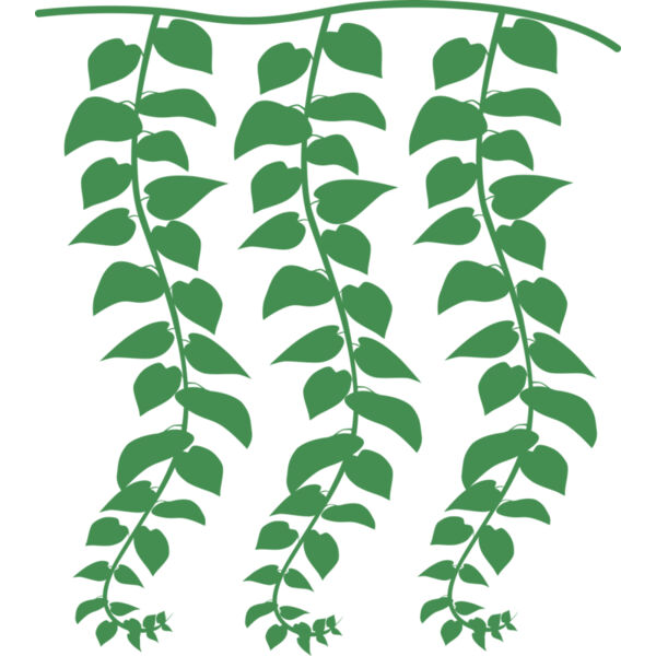 Hanging Plants Thumbnail